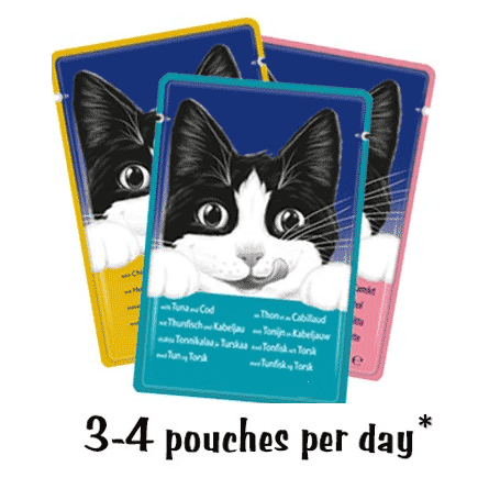 Felix senior cat clearance food 44 pouches