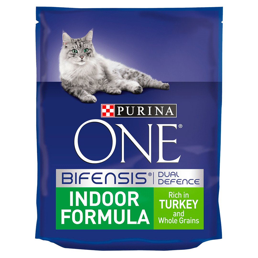 purina indoor cat food