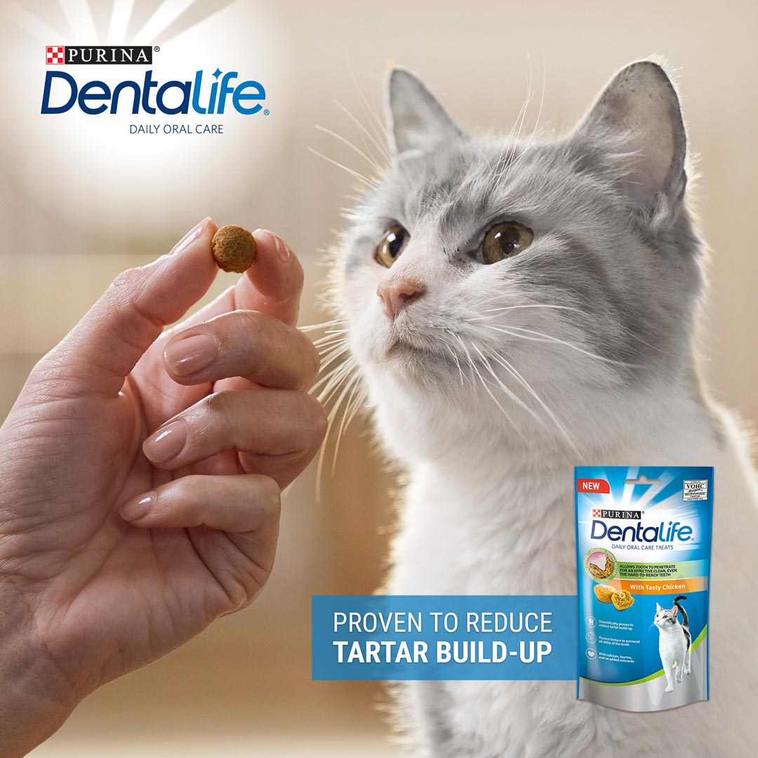 purina dental cat treats