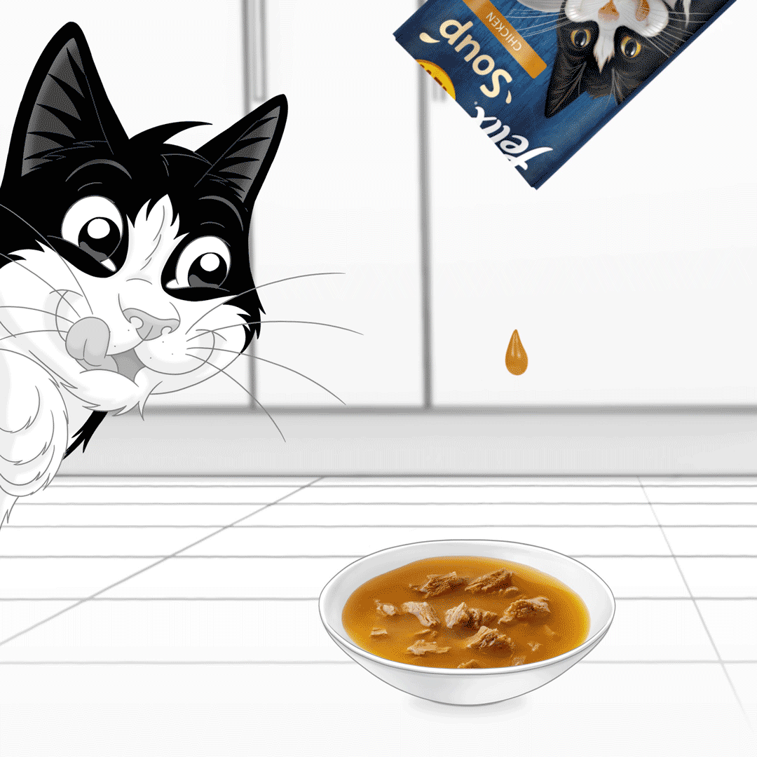 felix soup purina