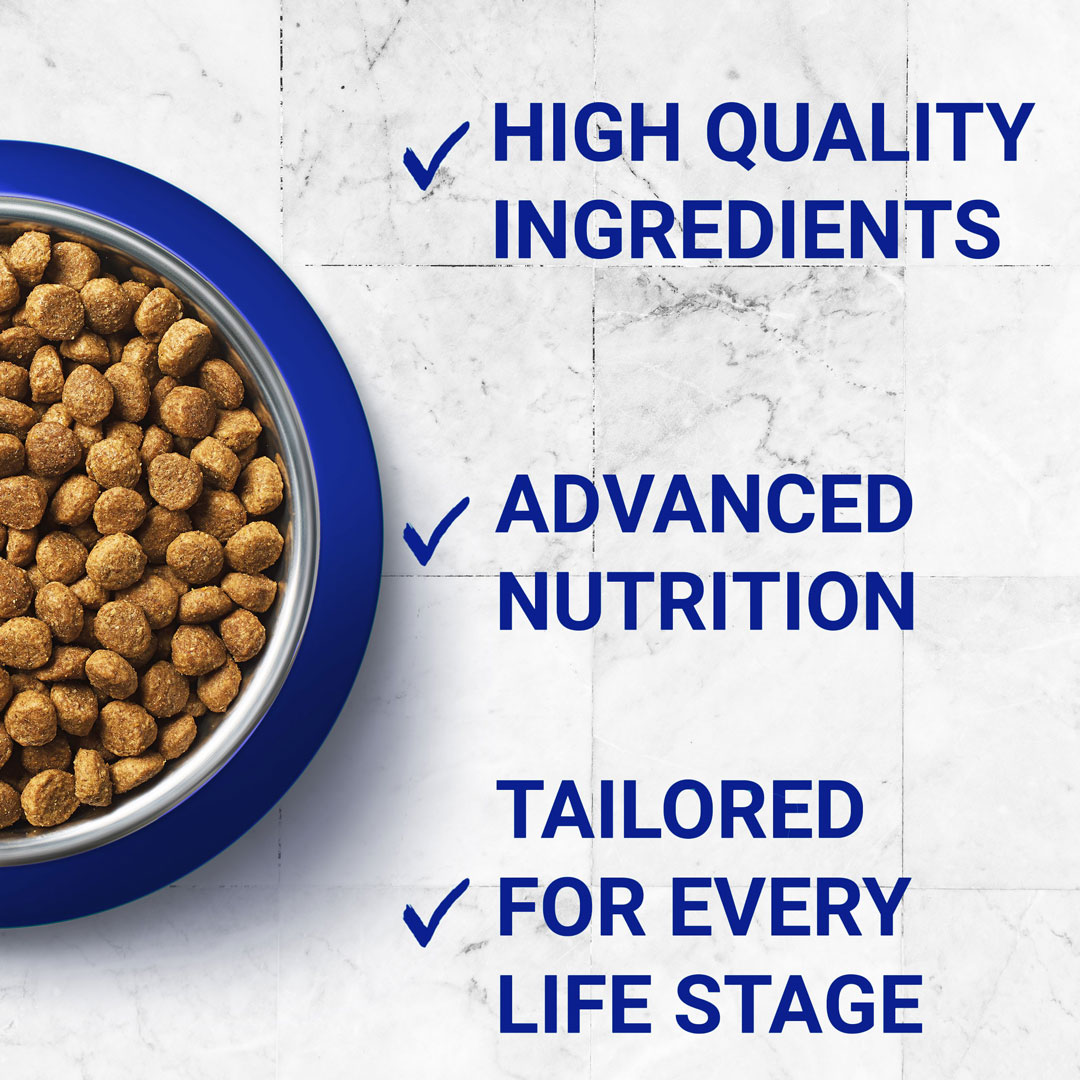 purina bifensis cat food