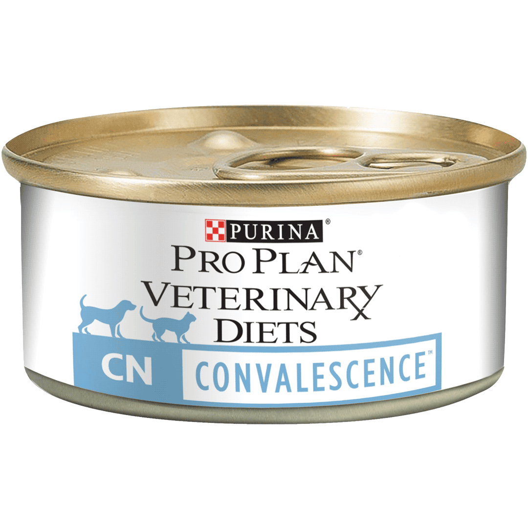 Ppvd Cn Convalescence Wet Dog Food Purina