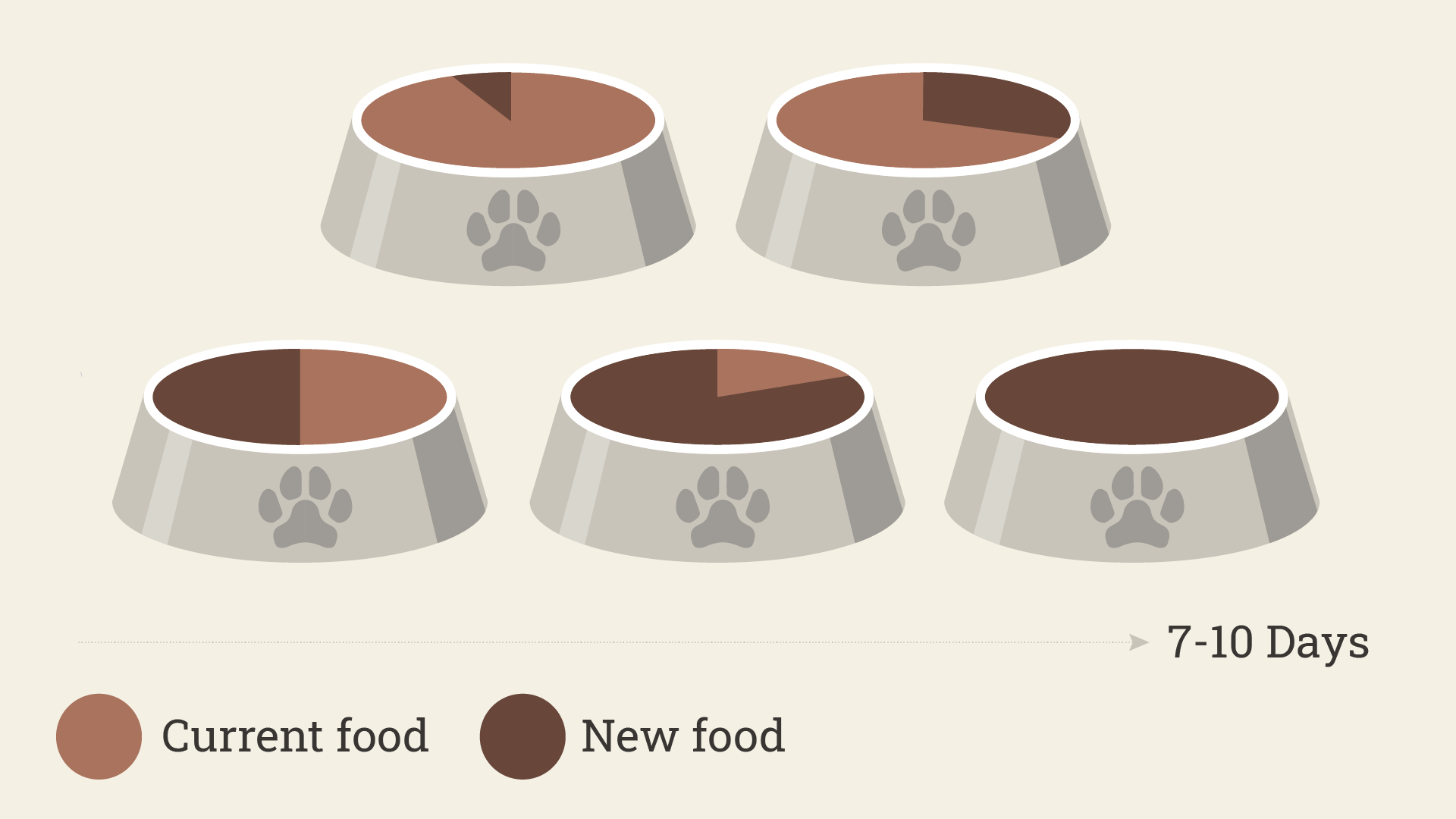 how to introduce new food to dogs