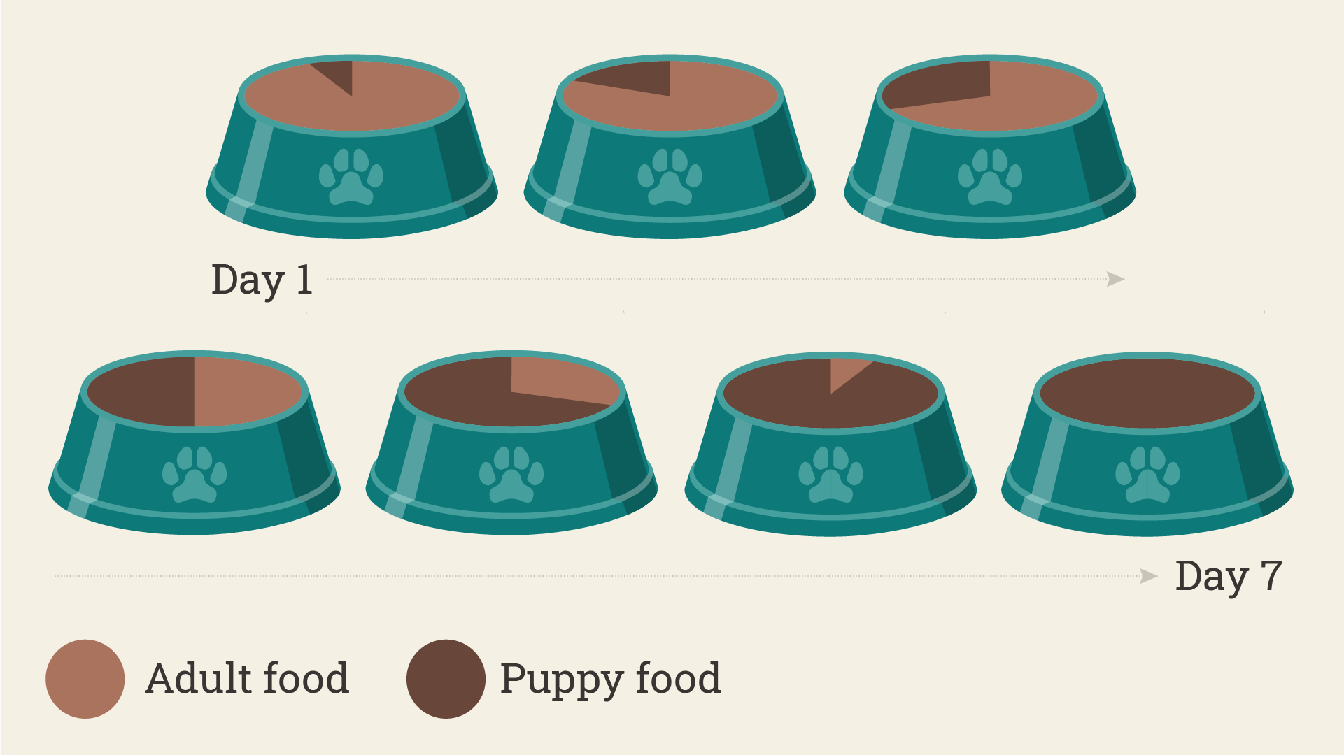 How Much Food Should A Pregnant Dog Eat