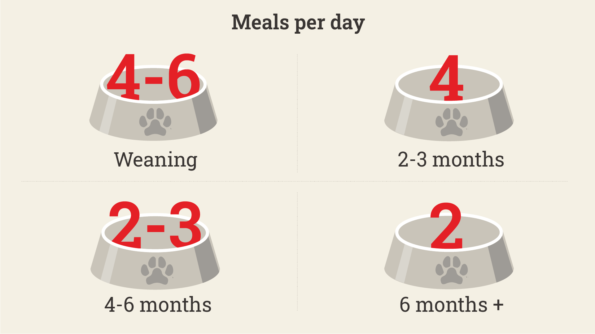 how often should i feed my 3 month old puppy