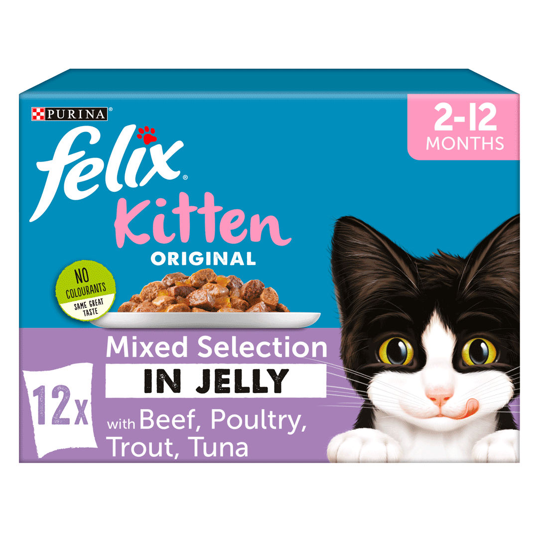 kitten felix wet food