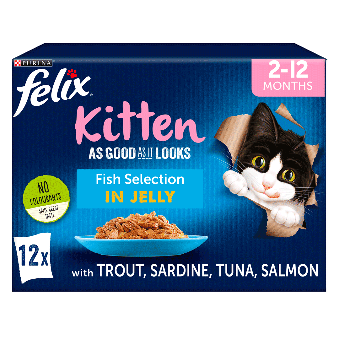 FELIX As Good As it Looks Kitten Selection Cat Food Purina