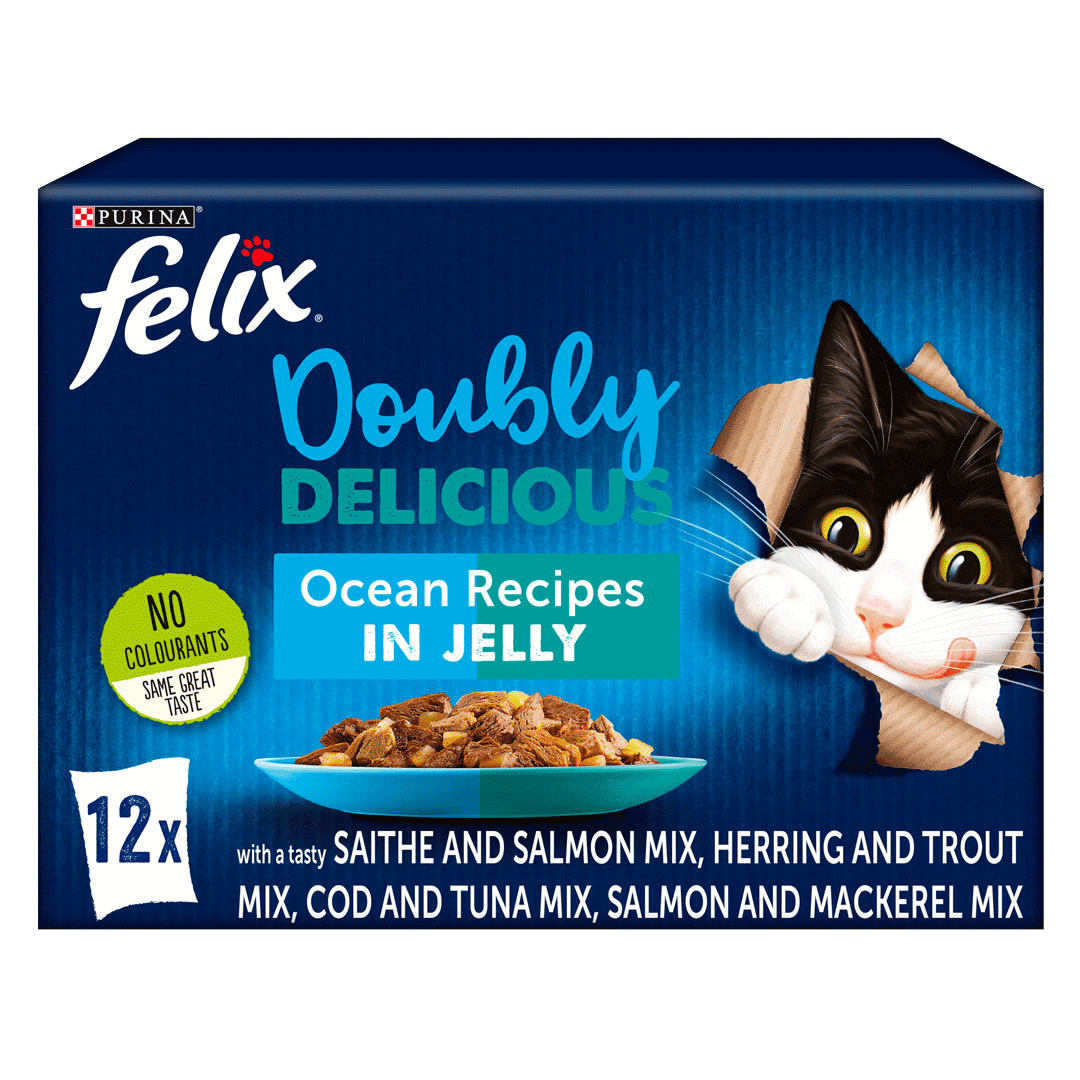 FELIX Doubly Delicious Ocean Recipes Wet Cat Food Purina