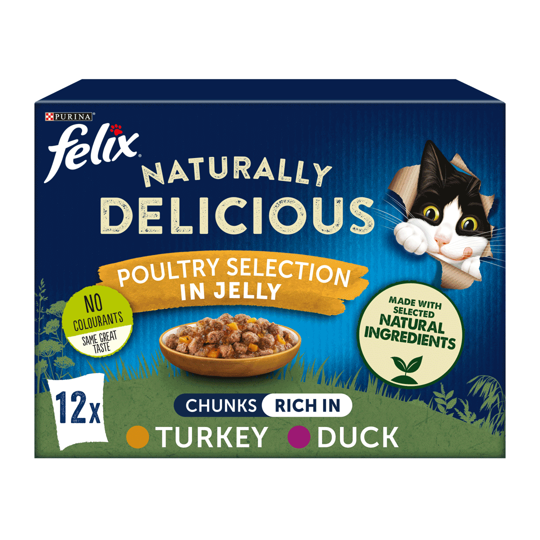 FELIX Delicious Poultry Selection Wet Cat Food Purina