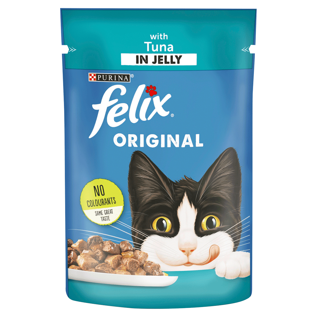 Felix cat best sale food big w