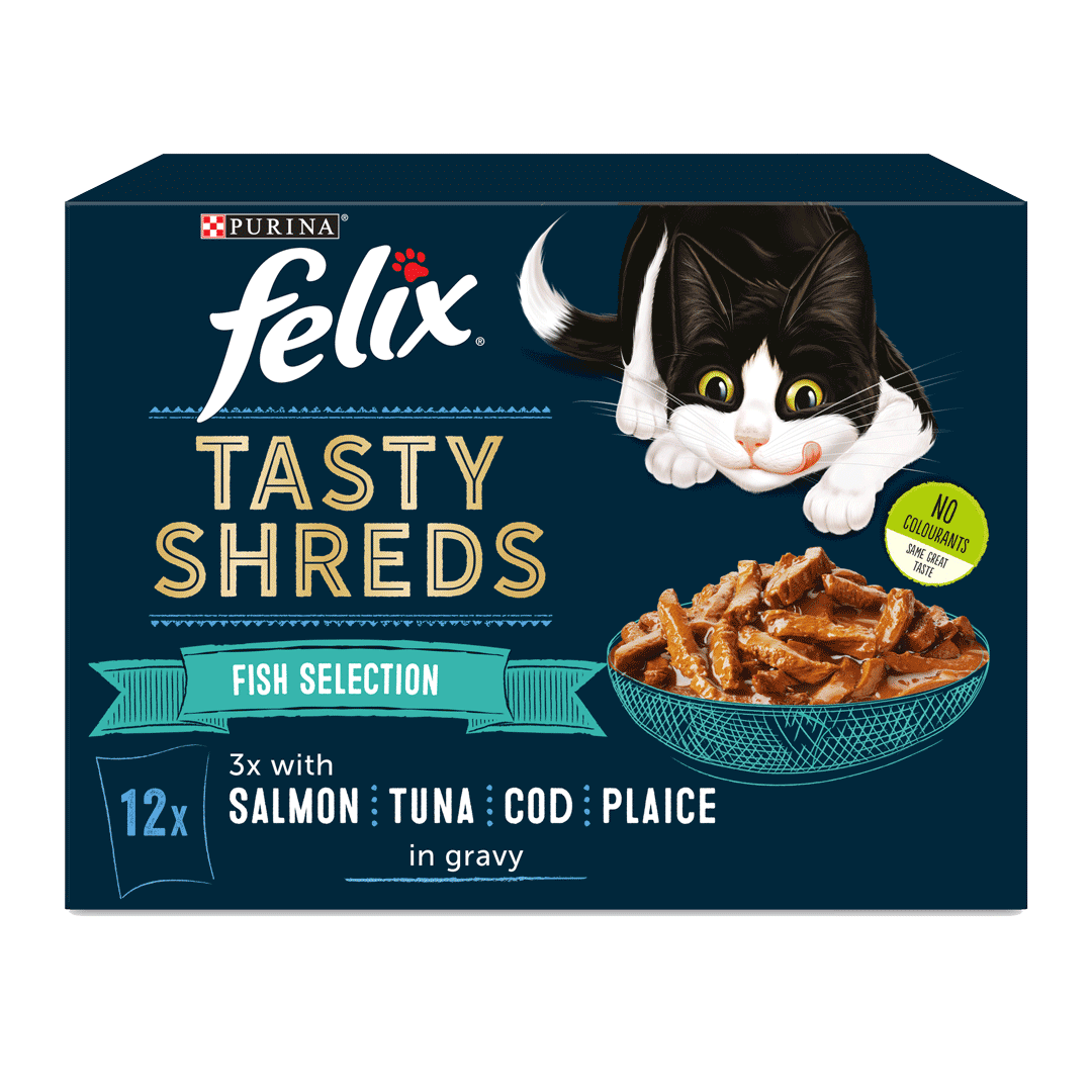 Felix the cat cat 2024 food