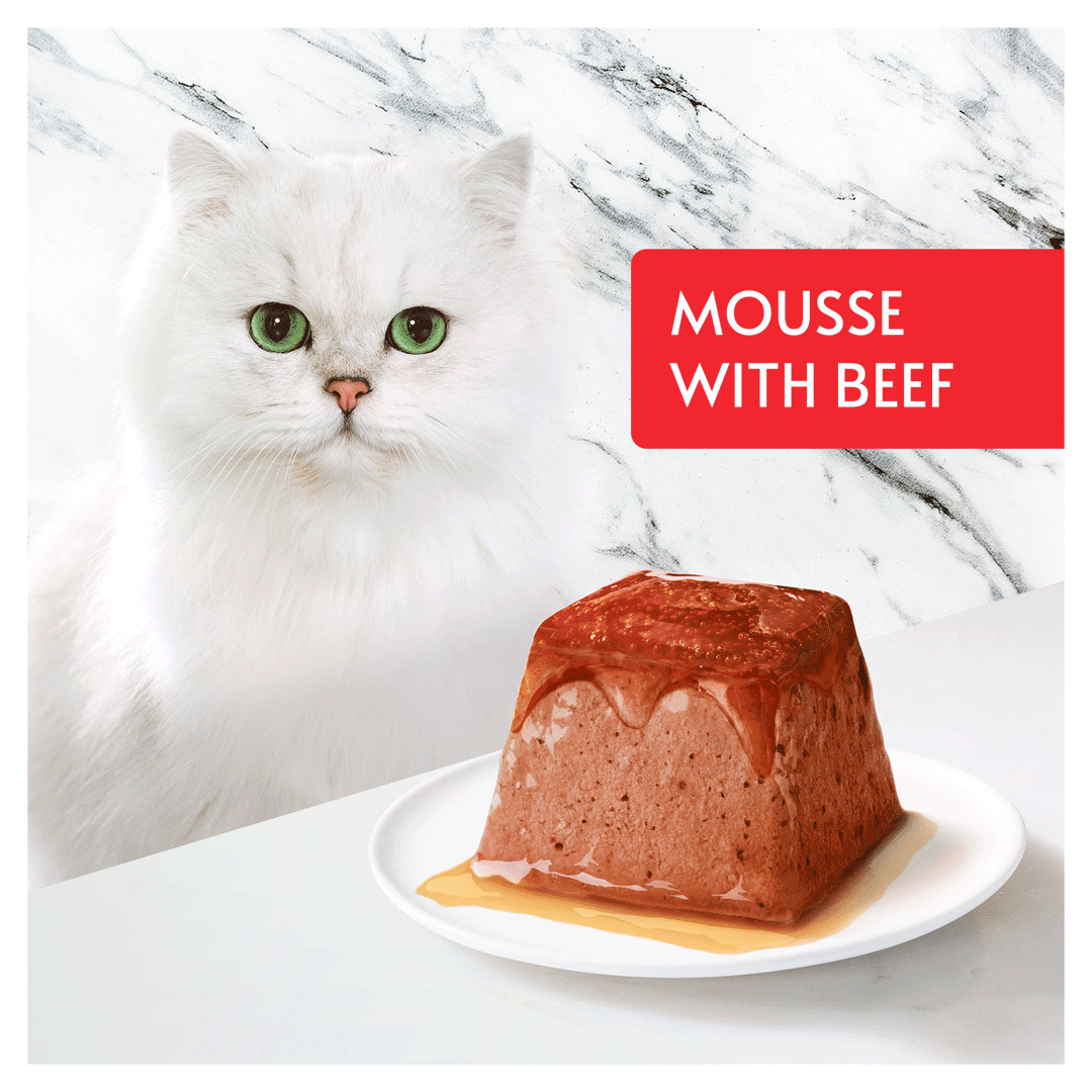 gourmet cat mousse