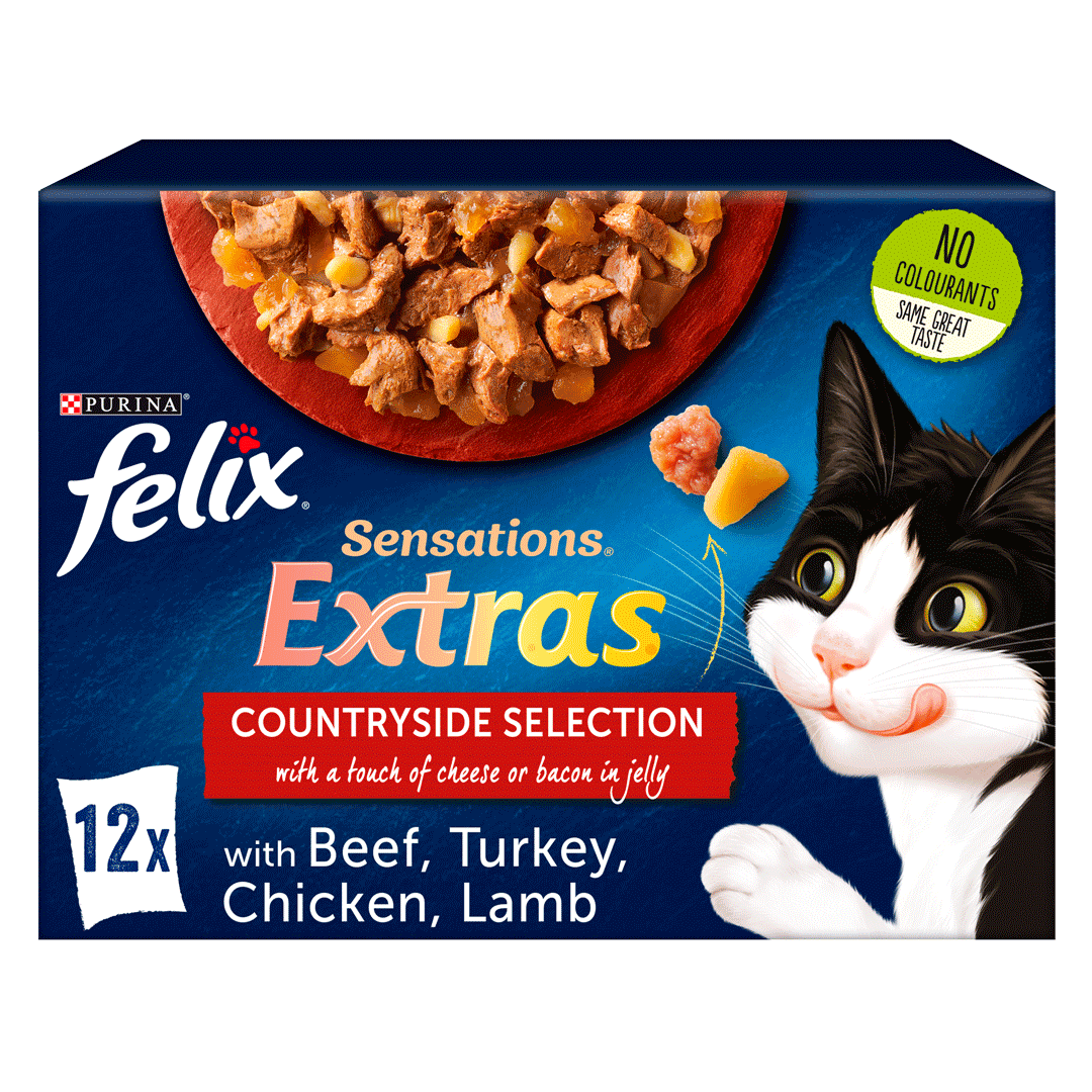 cat food soup uk