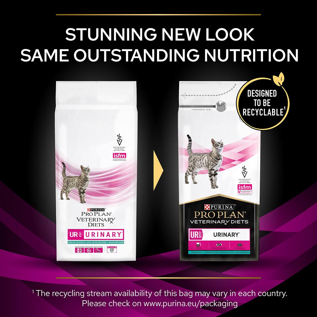 purina struvite diet