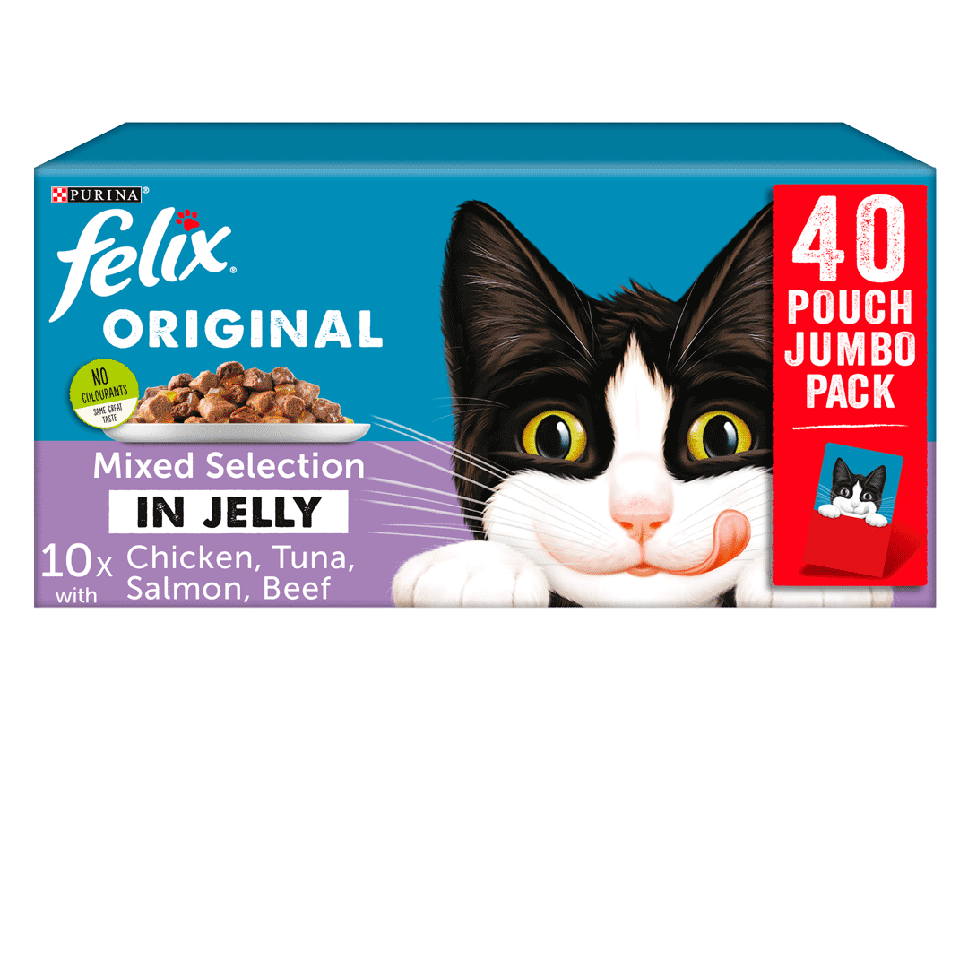 Wet cat food without hot sale chicken