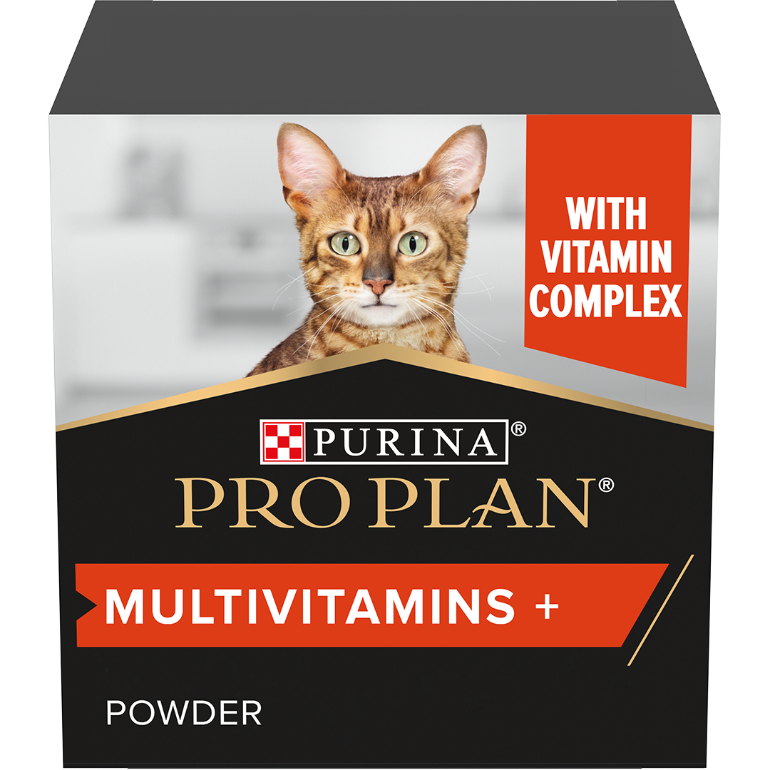 b12 supplement for cats