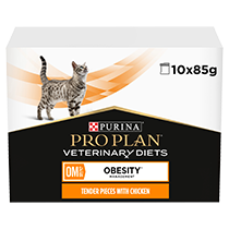 obesity management cat food