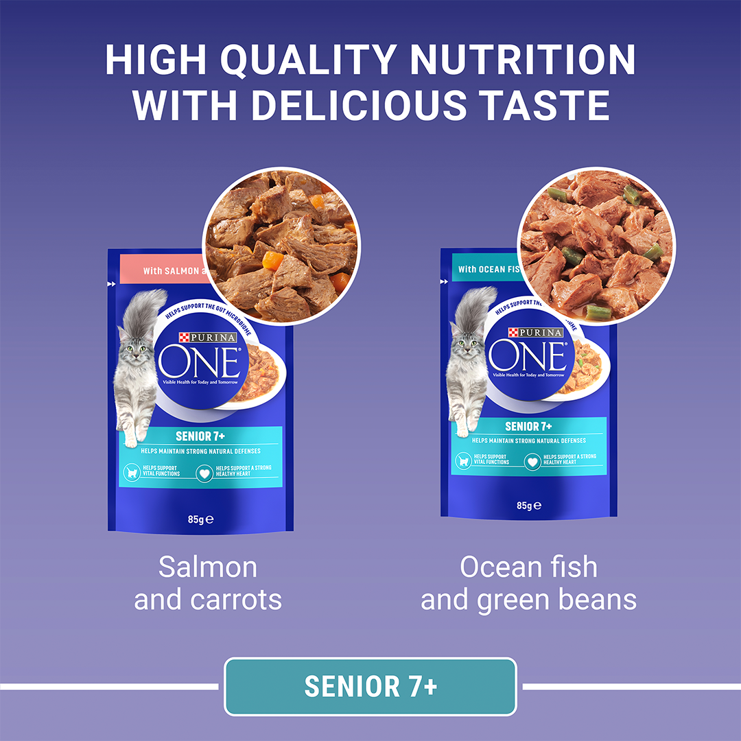 Purina one salmon and tuna hot sale cat food