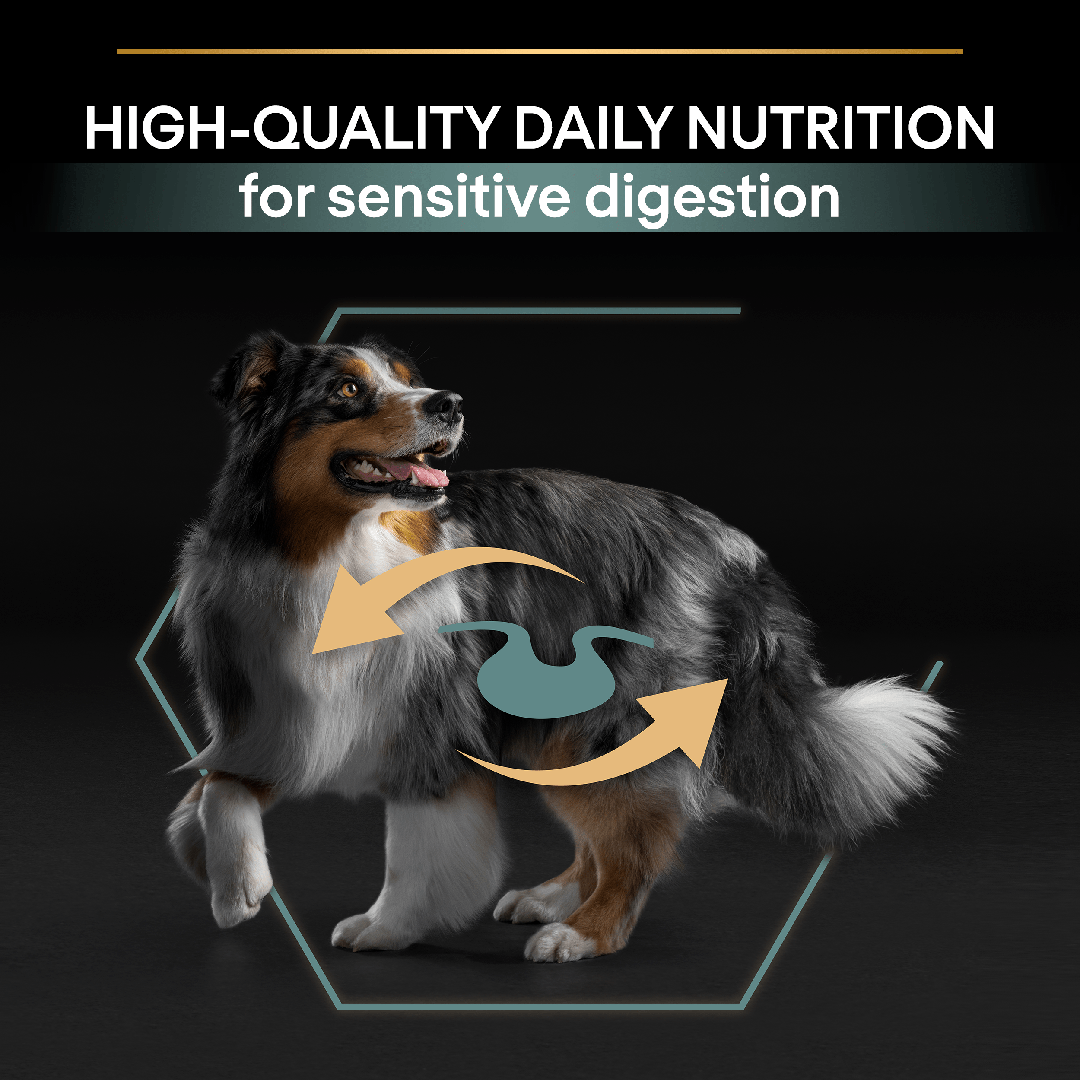 Best dog food store for sensitive digestion