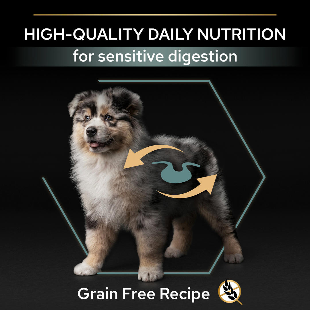 Authority puppy cheap grain free