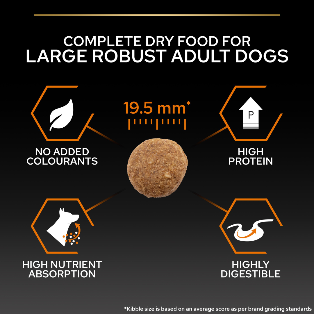 Purina proplan large robust hotsell