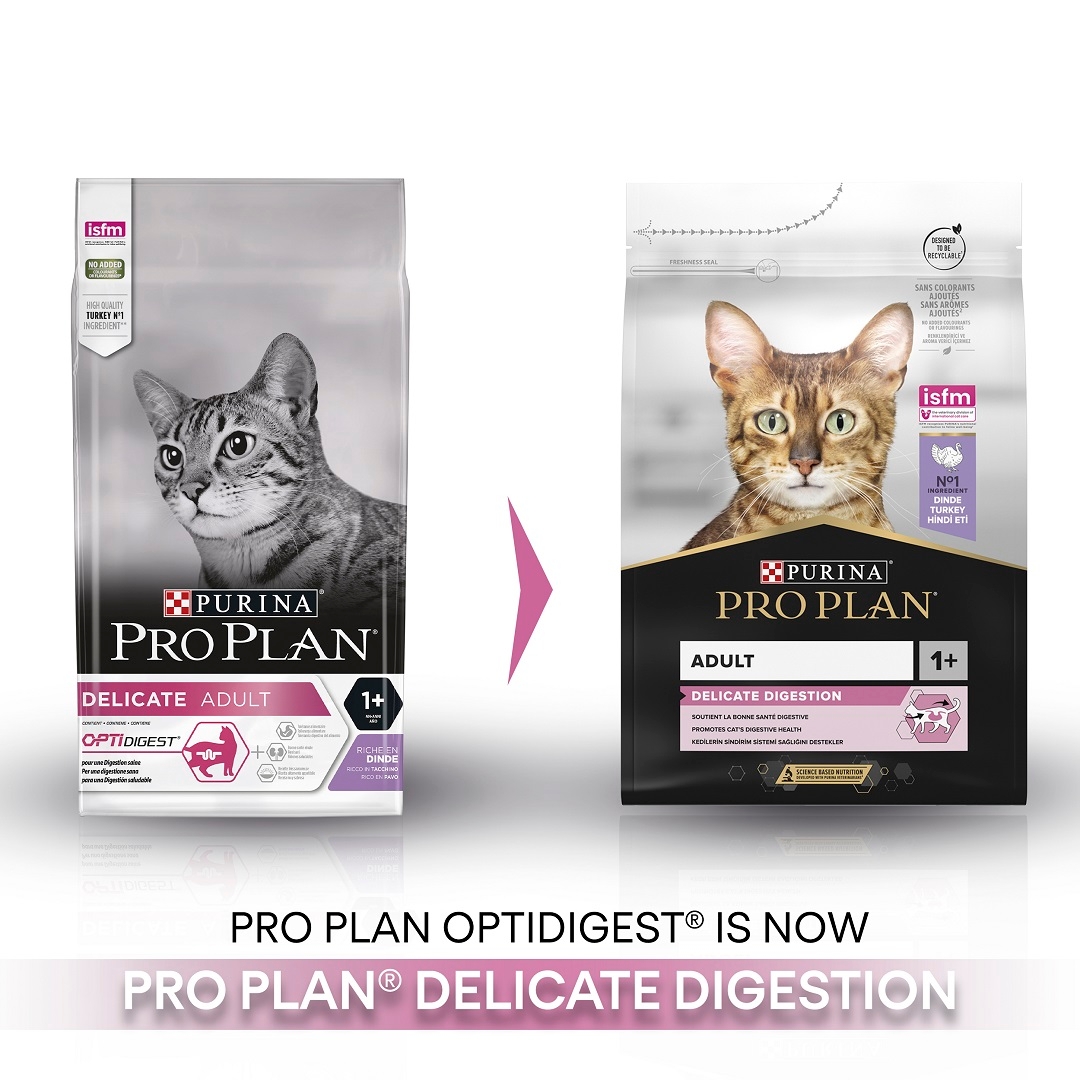 Delicate care best sale cat food online