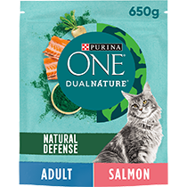 PURINA ONE Dual Nature Salmon Dry Cat Food Purina