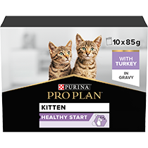 Purina pro plan focus kitten hot sale dry food