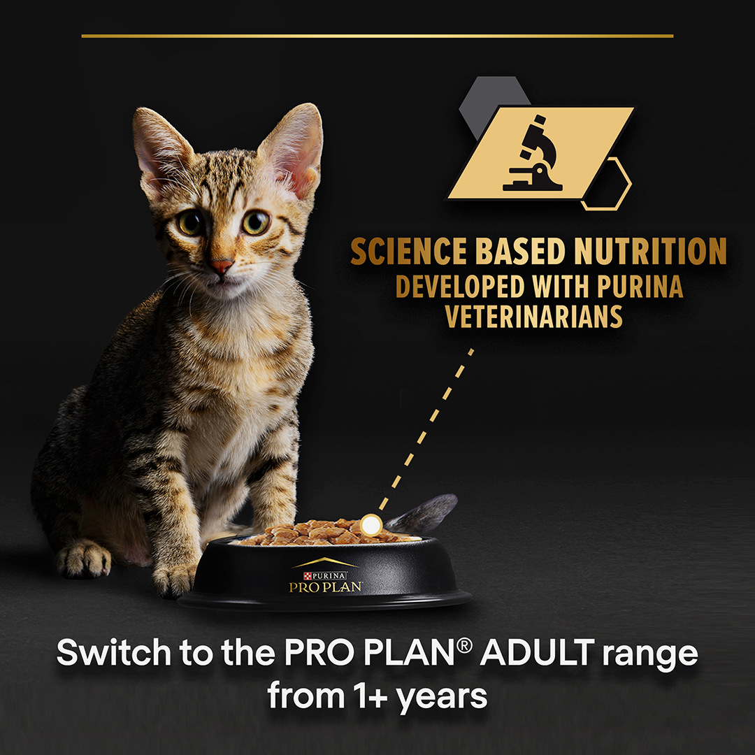 Purina sales baby cat