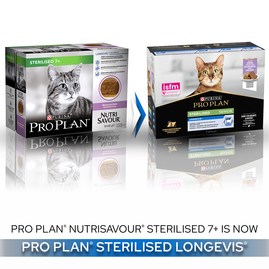 Purina pro best sale plan senior cat