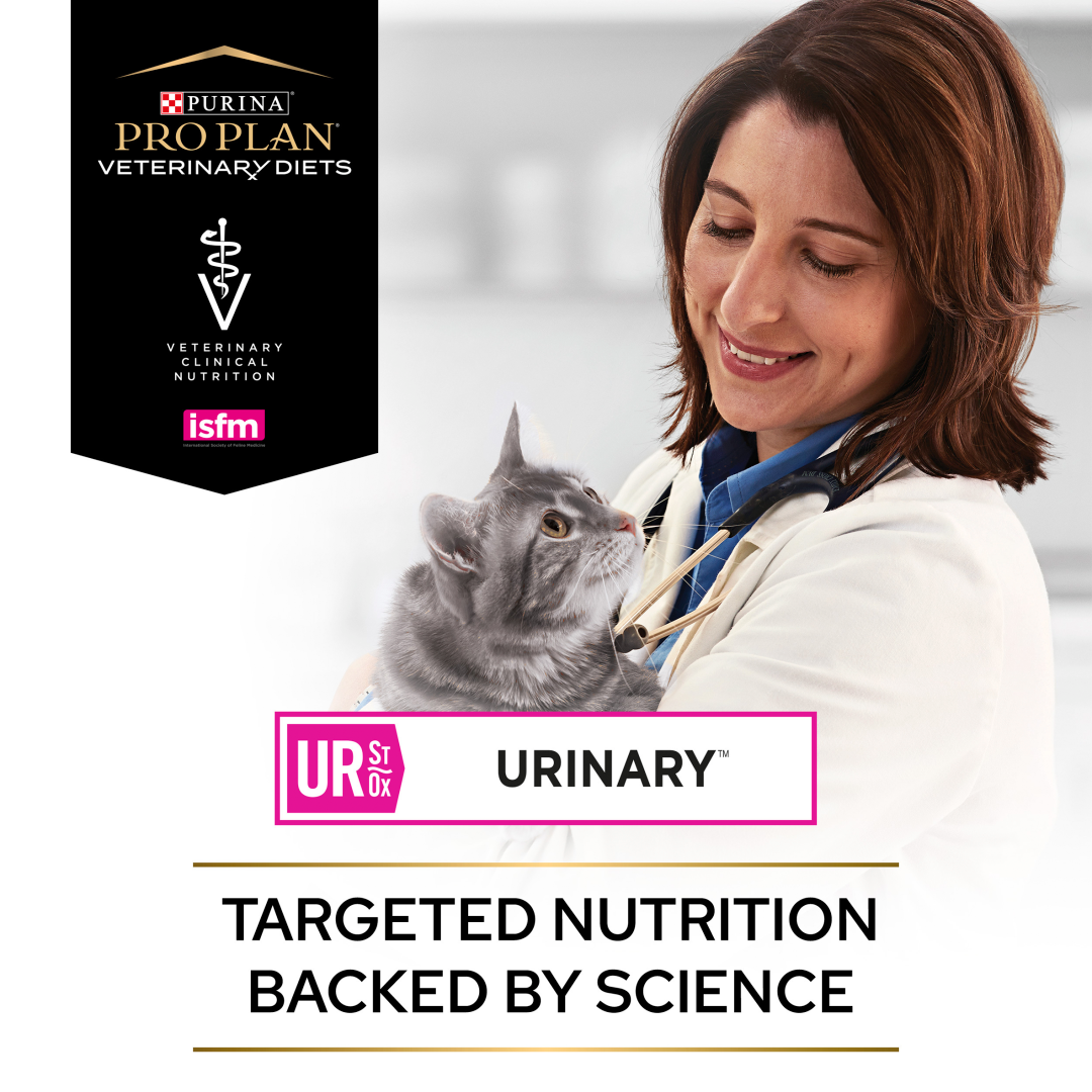 PPVD UR Urinary Chicken Dry Cat Food Purina