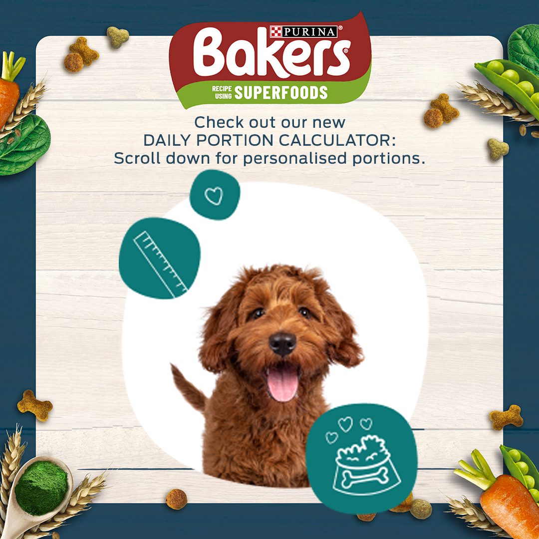 Bakers puppy best sale