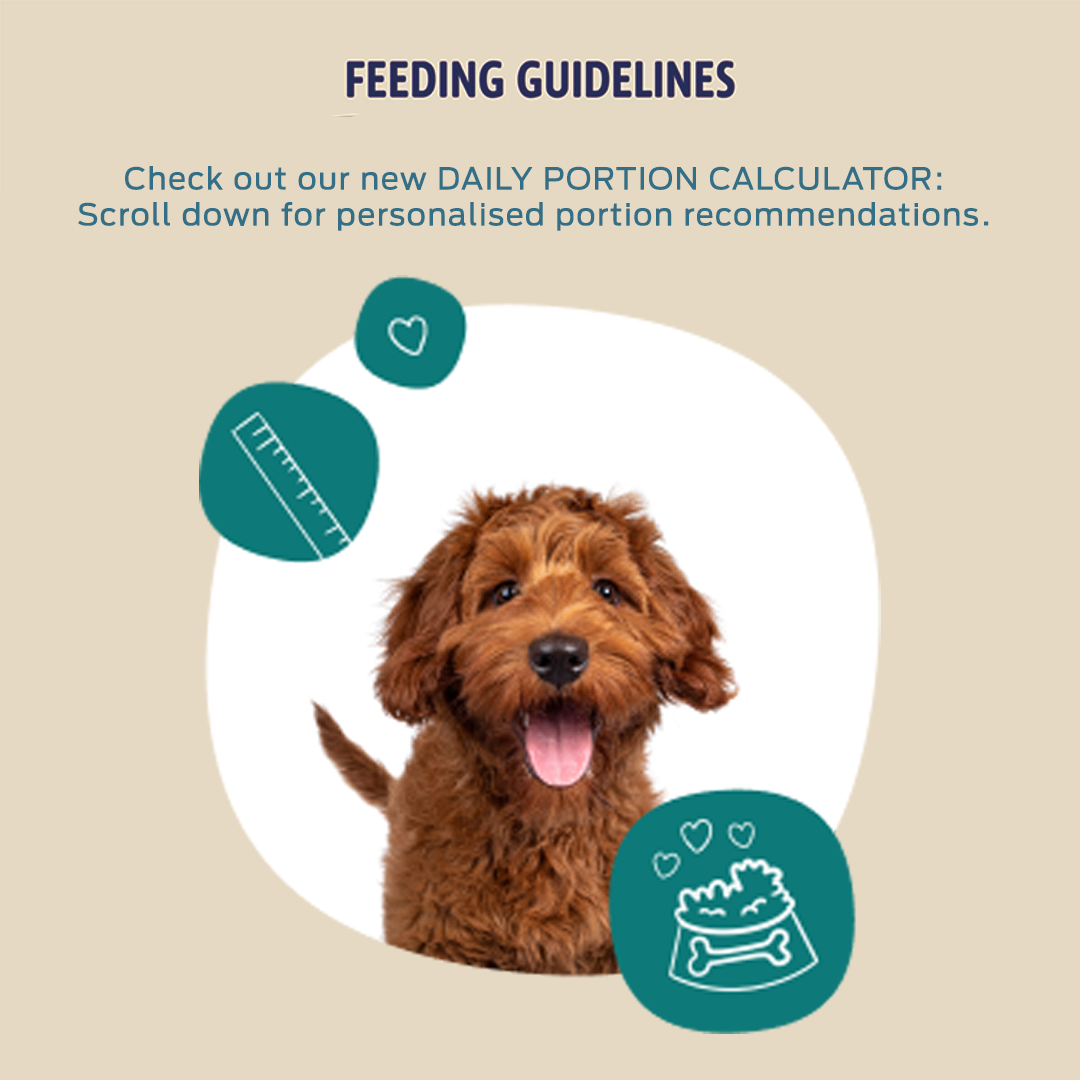 Beta puppy food feeding guide best sale