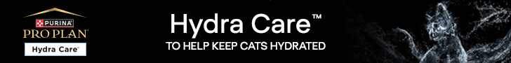 Hydra Care to help keep cats hydrated