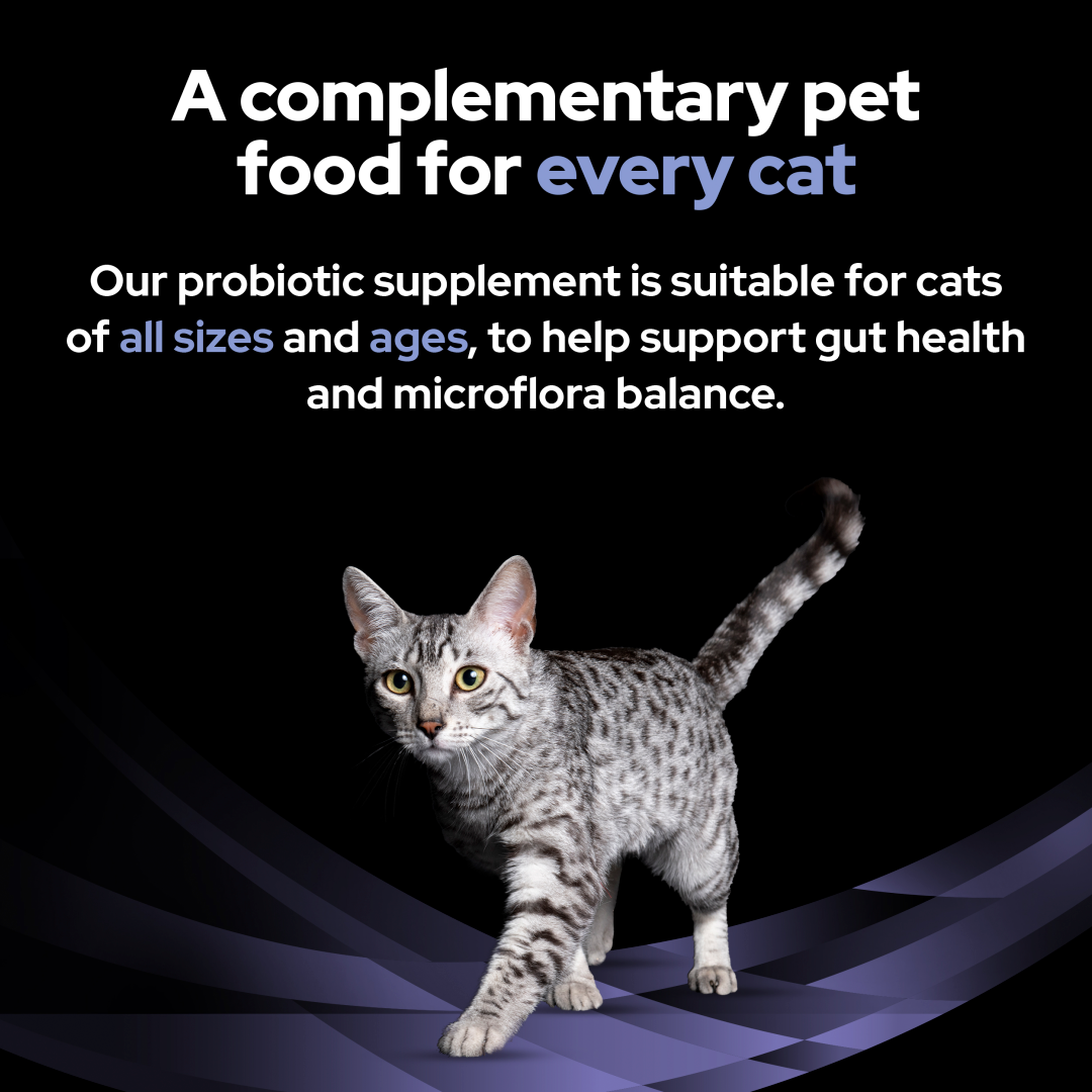 Pro plan probiotics for cats hotsell