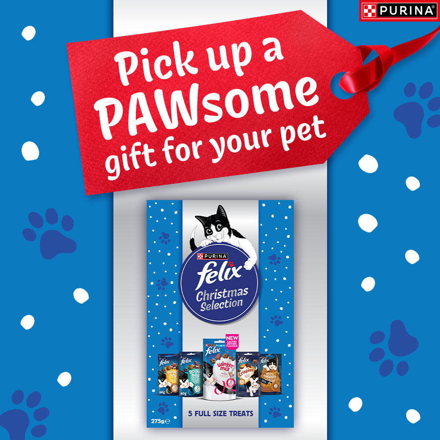 Pick up a pawsome gift for your pet