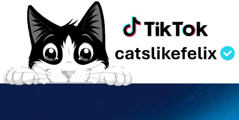 catslikefelix TikTok