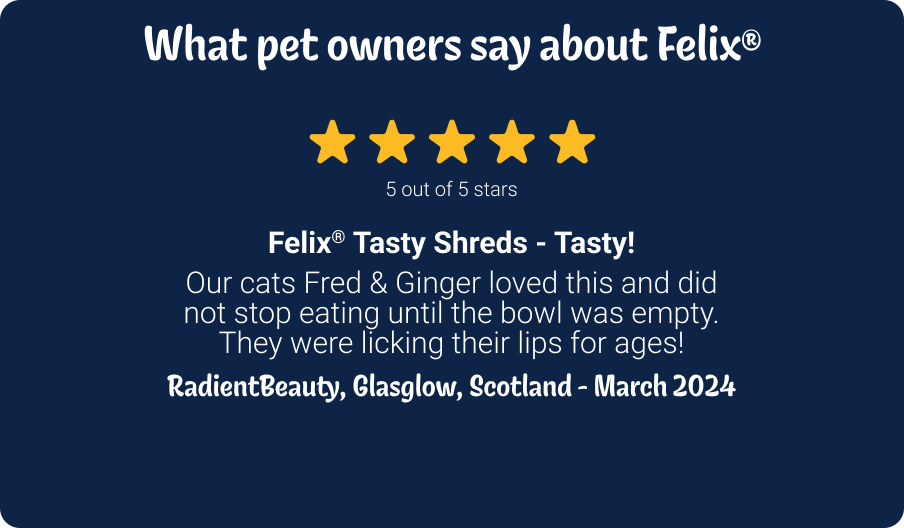 What pet owners say about Felix