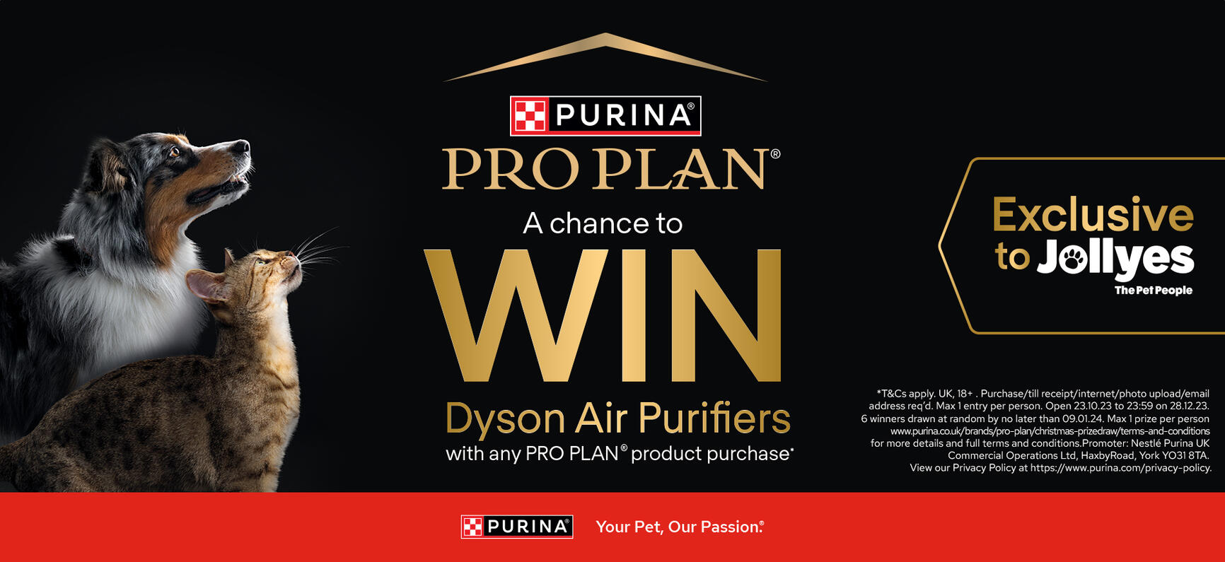 Pro Plan a chance to win dyson air purifiers exclusive to Jollyes