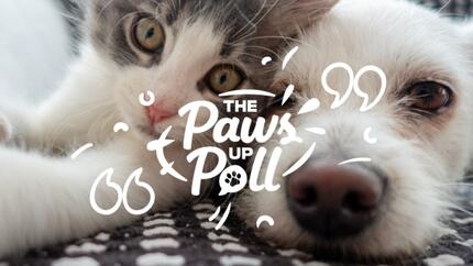 Purina’s Paws Up Poll