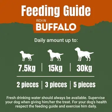 ADVENTUROS Ancient Grains Buffalo Dog Treats