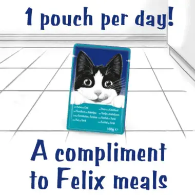 FELIX® Soup Farm Selection Cat Treats