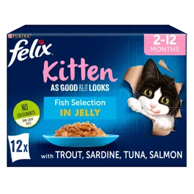 FELIX® As Good As it Looks Kitten Fish Selection in Jelly Wet Cat Food