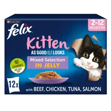 FELIX® As Good As it Looks Kitten Mixed Selection in Jelly Wet Cat Food