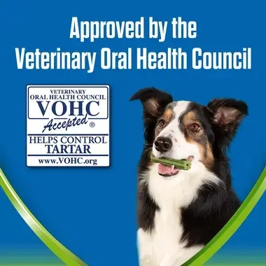 Dentalife Activfresh approved by the Veterinary Oral Health Council
