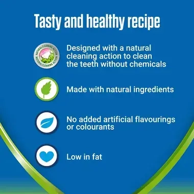 Dentalife Activfresh tasty and healthy recipe