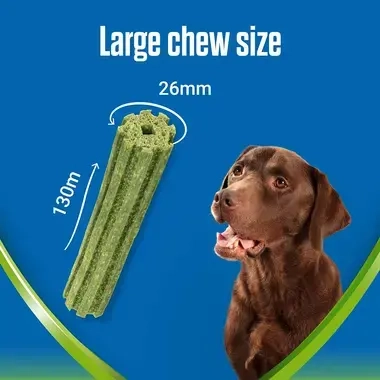 Dentalife Activfresh large chew size