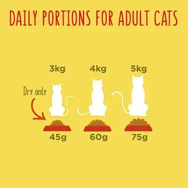 Daily portions for adult cats