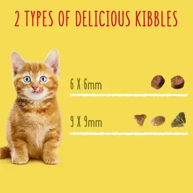 2 types of delicious kibbles