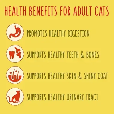 Health benefits for adult cats
